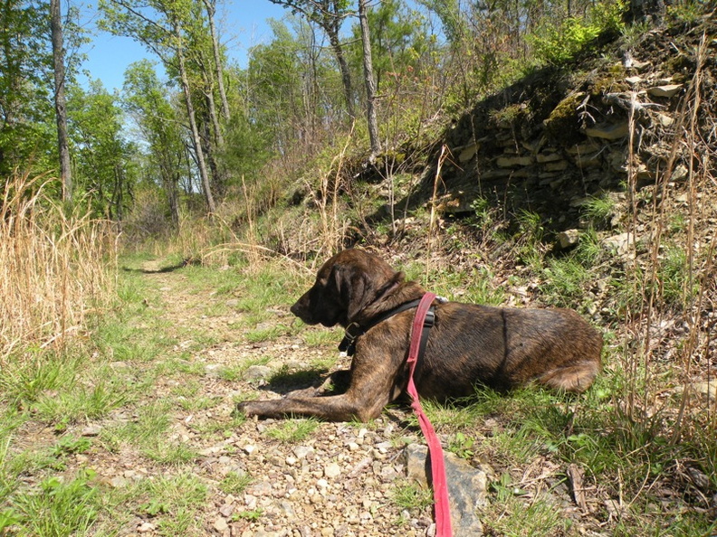 Lakeview Trail